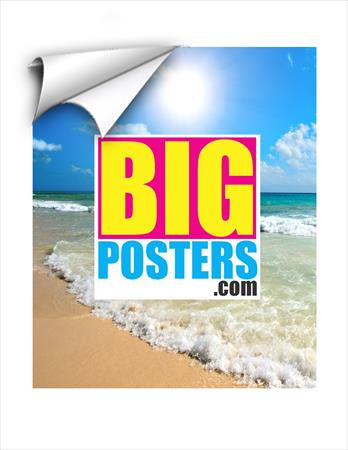 Self Adhesive Posters
